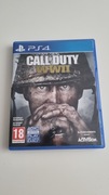 CALL OF DUTY WWII (PS4)