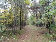 Działka budowlana 29400m2 Piaski gm. Koniecpol woj.ślaskie 