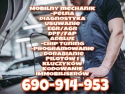 Usuwanie AdBlue DPF EGR Warszawa 24/7