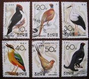 Fauna ptaki 3301 - 3306