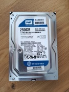 Nowy dysk HDD WD Blue 250GB 3.5" SATA WD2500AAKX