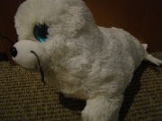 Duża pluszowa foka z głosem, błyszczące oczy