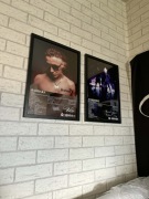 Vkie Barbara White Widow webidemic obrazy plakaty a3 w ramkach