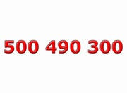 Złoty numer ____ 500 490 300 ____ Platynowy - ViP