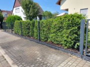 Ogrodzenie panelowe 2D  6/5/6 1,23 m  solidne - 25 m komplet.