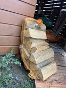 Drewno Kominkowe Buk Suchy 