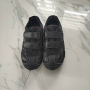 obuwie sportowe geox 37