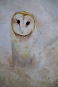 obraz sowa płomykówka akwarele handmade