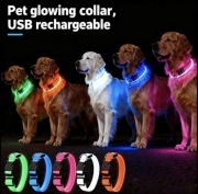 Świecąca obroża LED dla psa – niebieskie światło, idealna na nocne spacery