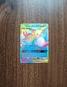 Karty kolekcjonerskie Pokemon do gry holo Raichu&AlolanRaichu dla dzieci  