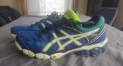 Asics Gel Pulse 6