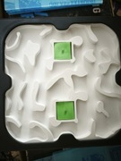 Formikarium dla mrówek