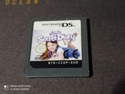 Nintendo DS gra Secret Diary