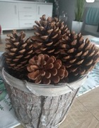 Szyszki duże!!! 