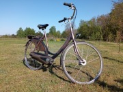 Sprzedam Sparta Athena