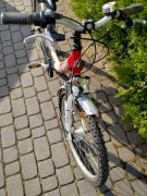 Rower młodzieżowy Pegasus 24 cale 