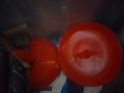 Chwytak do bel +kły    