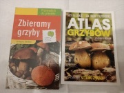 Dwa poradniki dla grzybiarzy