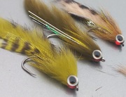 Streamer pstrąg kleń