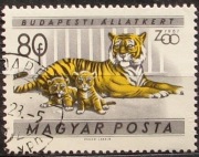 Węgry 1959 r. ZOO Budapeszt ssaki