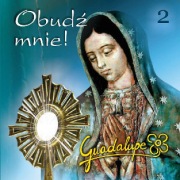 Guadalupe - płyta CD - 11 płyt do wyboru