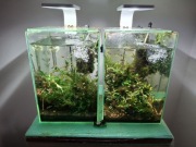 Dwa akwaria 12 l z całym wyposazeniem