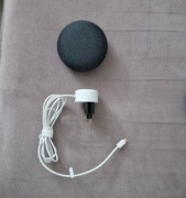 Google  mini   .