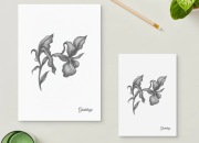 Kartka  gratulacje kartka okolicznościowa