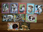 Karteczki Pieski Króliki 10 szt. (duże)