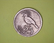 Indonezja 25 rupii 1971