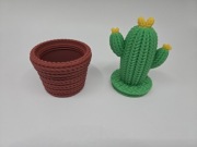 Kaktus 3D z pojemnikiem