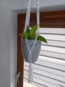 Kwietnik makrama handmade