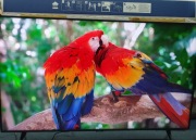 Telewizor Qled samsung 50"