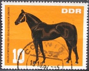 NRD 1967 r. Konie 