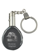 Rhodesian Ridgeback  brelok owalny ŚWIECĄCY Pies 