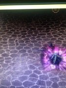 Gra planszowa sura bm 220lv kozak 