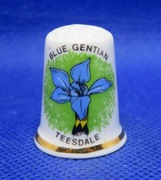 Naparstek Kolekcjonerski Porcelanowy - Goryczka Niebieska Teesdale 