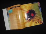 Album Bezkręgowce Stawonogi Owady Zwierzęta / oferta z foto'opisem (4)