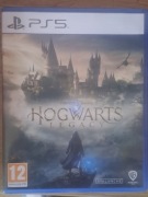Hogwarts Legacy Ps5