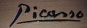 CITROEN emblemat znaczek - Picasso -
