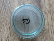 Szalka Petriego, 50mm szkło PRL, nieużywana 