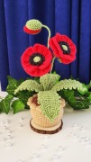 Maki w doniczce na szydełku 