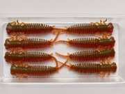 Guma wędkarska "HB Larwa" 5cm