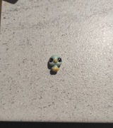 Littlest pet shop mini 