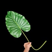 Liść dekoracyjny anturium jak naturalny duży XXL 84 cm do wazonu