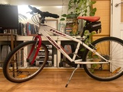 Rower dziecięcy Author Matrix