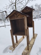 Domek dla murarek plus500 kokonów murarki ogrodowej 