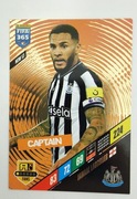 PANINI FIFA 365 2024 LASCELLES nr.NEW13 CAPTAIN 