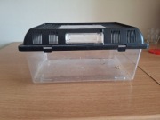 Terrarium dla owadów 