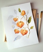 Obraz akwarelowy Physalis